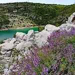 Infinity Pool San Divšići