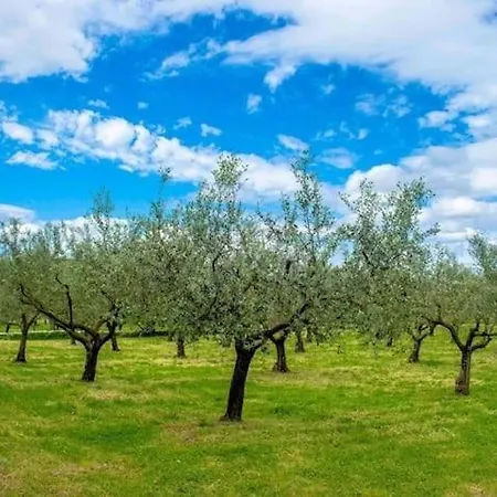 Infinity Pool San 빌라 *