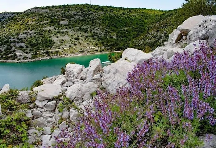 Infinity Pool San Divšići