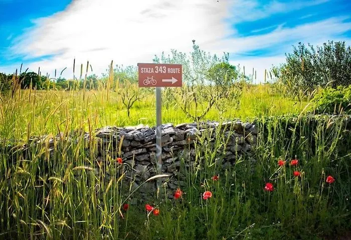 Villa Infinity Pool San *