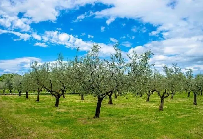 Infinity Pool San Villa *